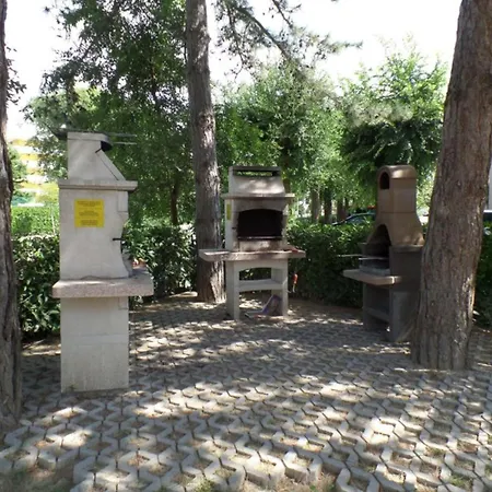 아파트 Cozy Surrounded By Olive Trees 비비오네